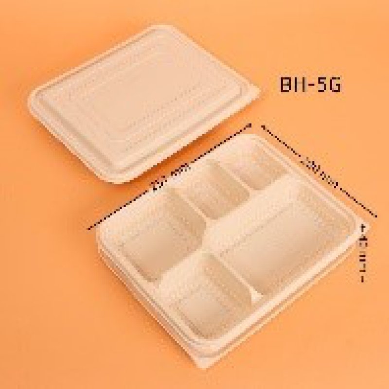 BH-5 5 grids lunch box