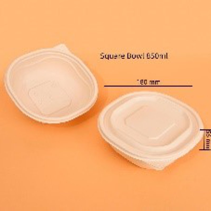 Square bowl JJ -800ML